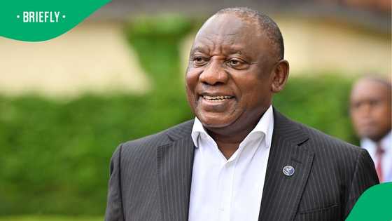 Cyril Ramaphosa claims progress is being made in dealing with state capture report, SA not convinced