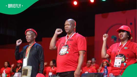 EFF claims Cyril Ramaphosa embarrassed South Africa with Elon Musk call, Mzansi mocks Red Berets