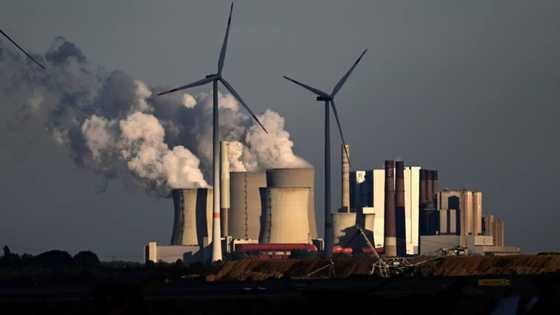 German emissions at 70-year low as coal use drops