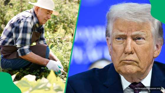 "Help us get our money": White farmers beg Trump to recover R65 billion from Zimbabwe