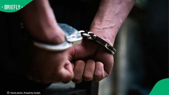 Gauteng Political Killings Task Team arrests suspect linked to EFF official Monicca Dube's murder