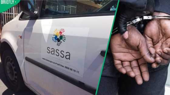 R33 million meant for the poor: 4 SASSA officials fired over fraud scheme