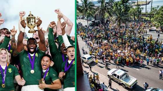 RWC Springboks trophy tour arrives in Durban, KZN residents excited as other SA rugby fans feel excluded