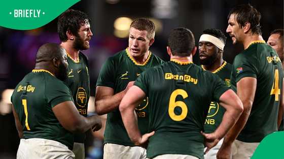 Jake White says Springboks are not invincible as he highlights one big concern before England Test