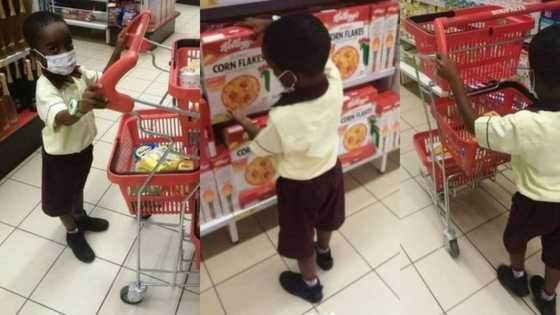 Dad shares adorable pic moments as he takes his little boy shopping