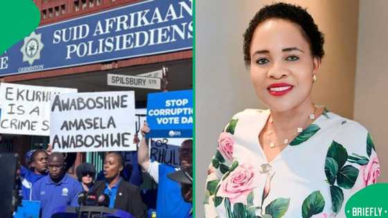 Imogen Mashazi back in spotlight over R3.5m private jet trip claims as DA opens case
