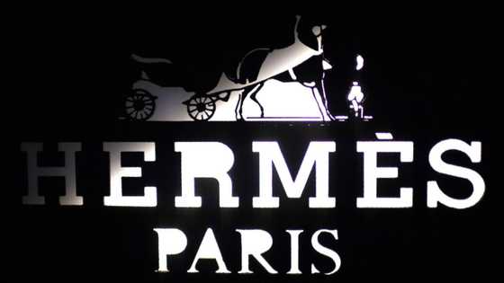 Hermes celebrates record profit with staff bonuses