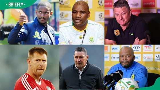 Top 10 highest-paid PSL coaches in South Africa in 2025: a detailed list