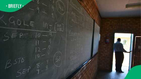 Limpopo Premier promises action after 0% matric pass at Sekhukhune School