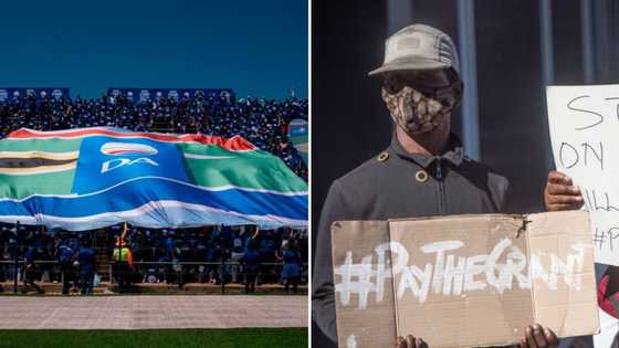 RDP status check online: apply and check your housing status in 2024 ...