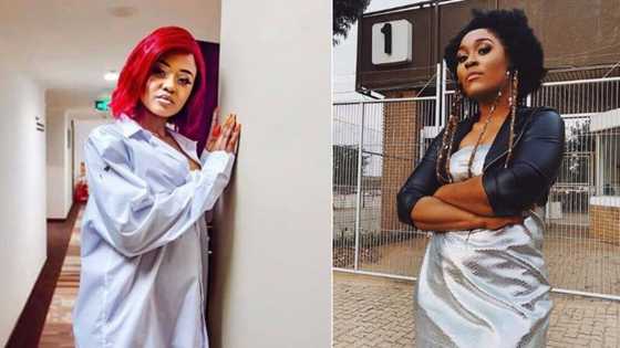 Babes Wodumo shaded Lady Zamar's acne but now claims she was hacked