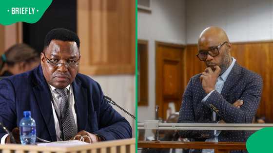 Fannie Masemola says whistleblower alerted him of Cat Matlala's alleged SAPS connections