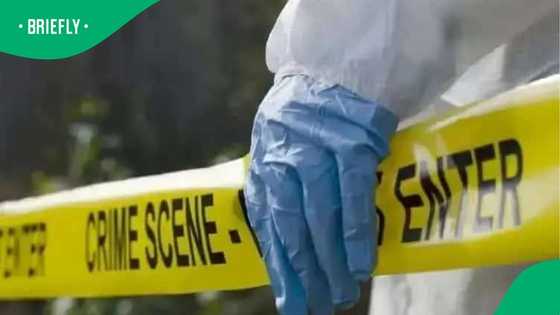 Free State farm attack: Man shot dead, wife sexually assaulted and stabbed in home invasion