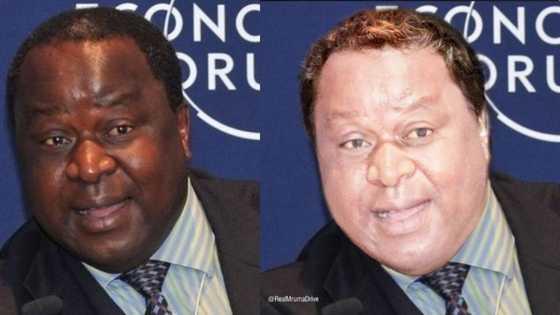 If Tito was white: Mzansi reacts to photoshopped snap of minister
