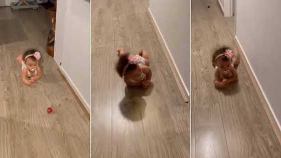 Cuteness overload: Hilarious video of leopard crawling baby leaves the internet in stitches