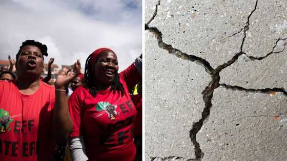 Gauteng earthquake victims should be assisted immediately by government and municipality - EFF