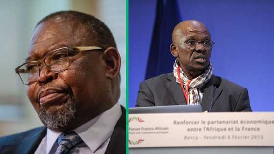 Mthunzi Mdwaba ordered to pay Enoch Godongwana R1 million for accusing him of UIF bribery scandal