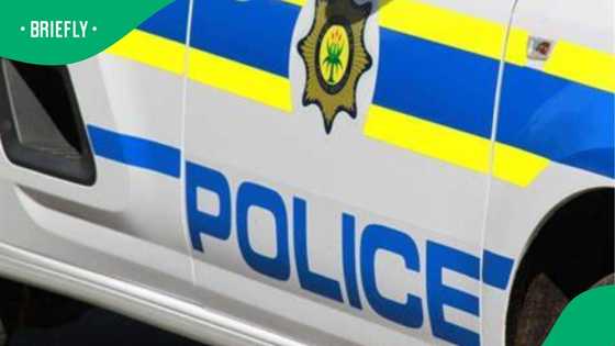 Mpumalanga police investigate police officer receiving items in viral hawker video