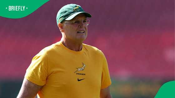 Rassie Erasmus rings the changes as Boks get fresh look for Scotland clash