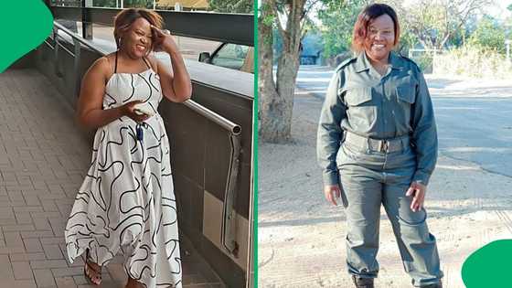 "Boom, Mufasa": Mpumalanga woman spots a lion in the Kruger while taking her kids to school