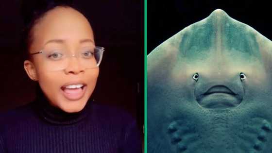 Tshwane woman touched by stingray in uShaka Marine World water tank, TikTok video scares netizens