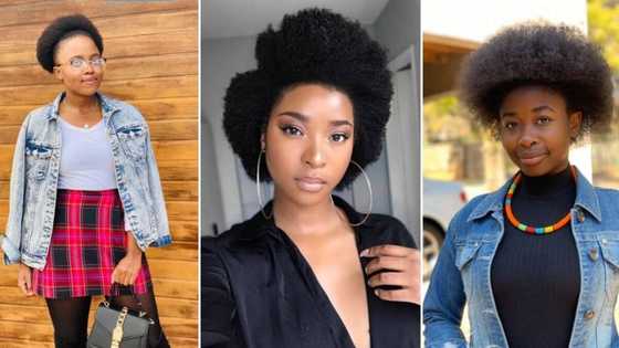Nothing damaged here: Stunning SA ladies rock their natural hair