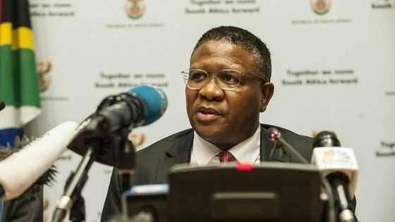 Fikile Mbalula says SABC's ANC coverage is impacting party's performance, broadcaster answers back