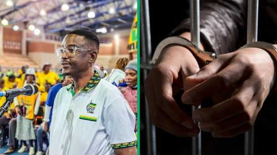 ANC Limpopo member Jossey Buthane charged with attempted murder