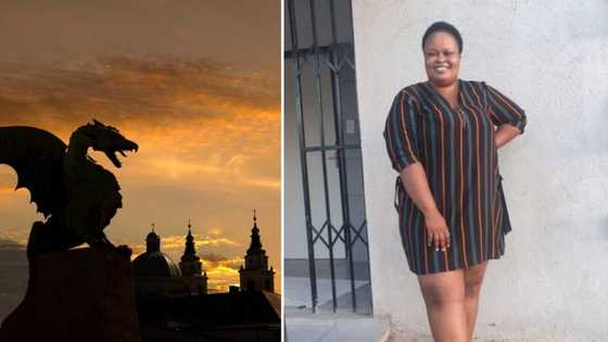 Woman shares hilarious pic of "dragon" in her bedroom, says SPCA must intervene, leaves SA in stitches