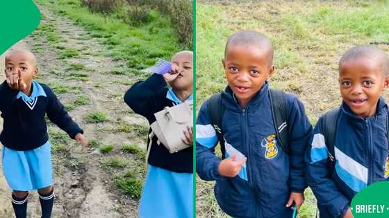 "They're adorable": Talented twins hit 1M followers and celebrate with a touching song, SA moved