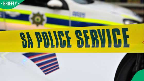 Gauteng Hawks head among two senior police officers arrested over illicit precious metals trade
