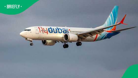Israeli passengers overpower co-pilot who stabbed captain on Flydubai flight to Tel Aviv