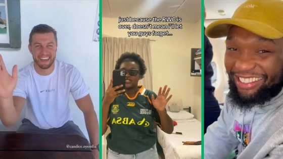 Springbok fan gets major shoutouts from Handre Pollard, Faf de Klerk and Lukanyo Am in TikTok video