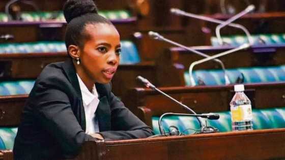 Acting Public Protector Gcaleka says she will not be pressured into rushing her probe into Phala Phala saga