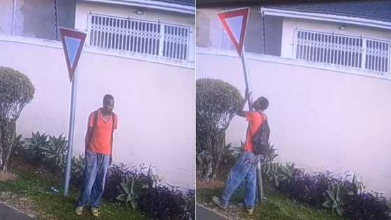 Man on SA road steals yield sign and has Mzansi up in arms over security footage, "At this rate we will have no country left"