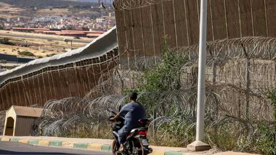 8 months' jail for 14 migrants in Morocco: lawyer