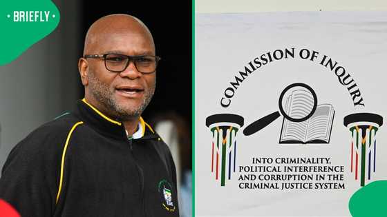 Nathi Mthethwa: Why Nhlanhla Mkhwanazi mentioned ex-Minister of Police during Madlanga Commission