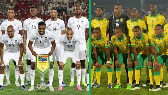 Bafana Bafana arrives at OR Tambo International Airport on Valentines' Day