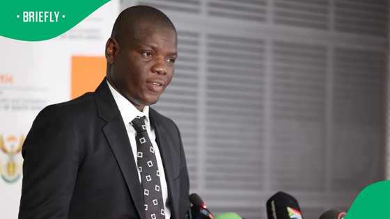 Ronald Lamola says South Africa's exports do not pose a threat to the US industry