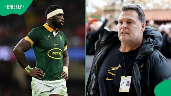 Rassie Erasmus unleashes the fire: Why Springboks are more motivated to beat the All Blacks