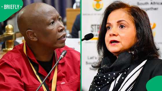 Advocate Shamila Batohi's response to Hangwani Maumela question frustrates EFF leader Julius Malema