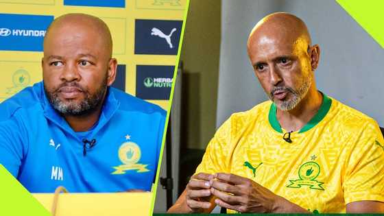 Mamelodi Sundowns made right decision to replace Manqoba Mngqithi with Miguel Cardoso