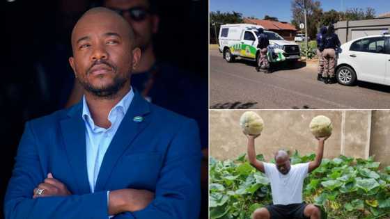 Maimane calls out cops for "bullying" Djo BaNkuna, the man fined for planting veg