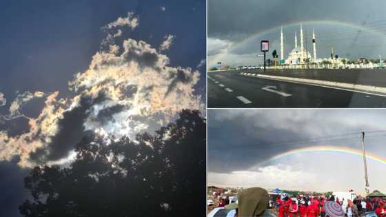 Calm after the storm: SA shares beautiful snaps of rainbows across Mzansi