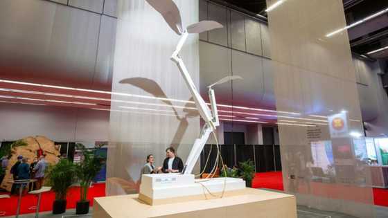 Robot plant grows, wilts on fate of UN nature talks