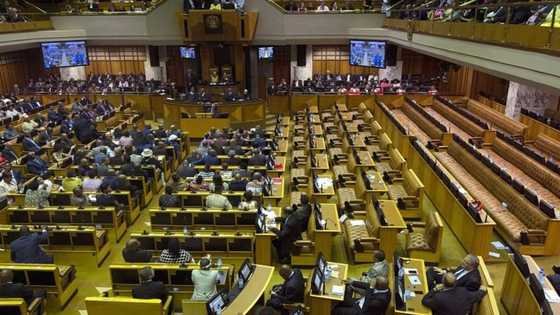 ANC MP arrested on the suspicion of murdering his wife, SA reacts: "Criminal enterprise"