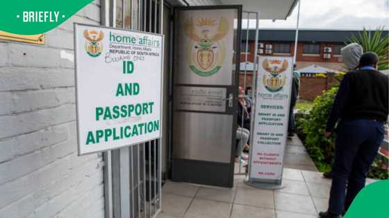 Home Affairs clarifies permanent residency status for ZEP and Lesotho permit holders