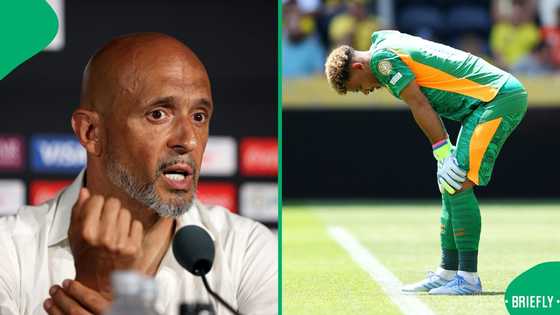 Miguel Cardoso Explains Why Mamelodi Sundowns Lost to Marumo Gallants, Reisinho’s Poor Debut