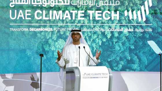 Fake Twitter 'blondes' promote UAE climate summit