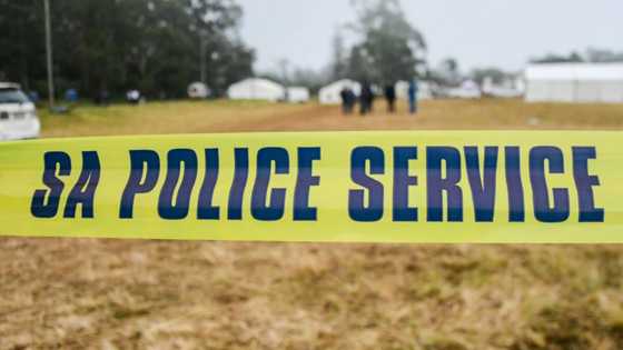 19 Dead bodies of alleged zama zamas found in Krugersdorp